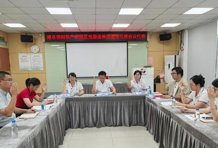 党建引领聚合力 砥砺奋进谱新篇|德永信财税产业园区党委圆满完成街道党代表选举工作